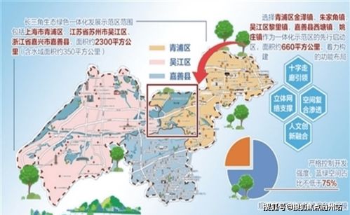 嘉善信息技術咨詢服務 專業一對一，熱情為您解答