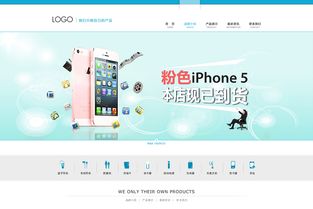 引領(lǐng)數(shù)字未來(lái) 某數(shù)碼產(chǎn)品公司一站式信息技術(shù)咨詢(xún)服務(wù)