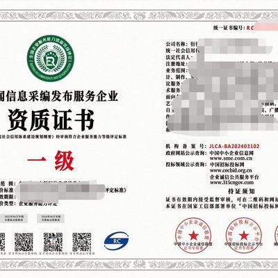 2024年互聯網新聞信息服務企業資質（一級）與信息技術咨詢服務 行業標準、價值與戰略協同