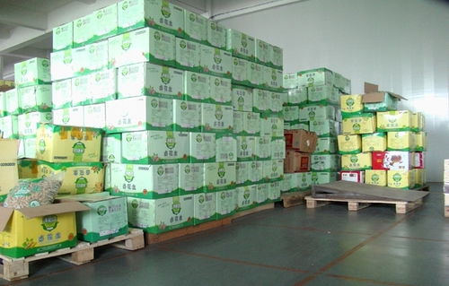 廣州食品倉庫托管服務 龍森倉儲的專業解決方案